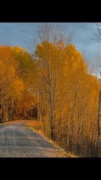 Autumn Leaves Again #vermonthiphop #boombapbeat