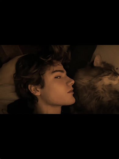 Im back 😛 #bojack #brojack #viral #targetaudience | bojack