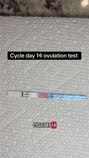 Cycle Day 14: Understanding Ovulation Tests