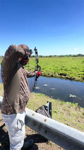 Pesca con arco en Miami en modo de pesca distinto pero uno que ayuda al ecosistema con las especies invasoras #bowfishing #tilapia #riverfishing #riverlife #especieinvasora