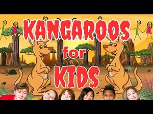 Fun Facts About Kangaroos