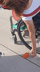 Harvest time. | Meg Johnson