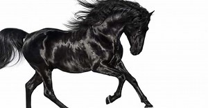 Every Version Of 'Old Town Road', Ranked