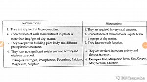 What are two differences between macronutrients and micronutrients? [2025] | QAQooking.wiki