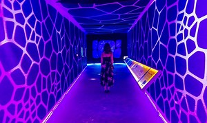 Explore the universe at Chicago's museum campus ✨ Choose Chicago / Visit The USA | Matador Network