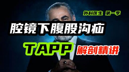 【钢刀】腔镜腹股沟疝（TAPP）解剖精讲
