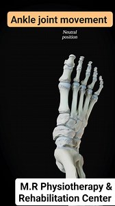 5.4K views · 115 reactions | #Ankle_Joint_Movement #Ankle_Anatomy #everyonefollowers #follower #StarSender #highlight #StarsEverywhere #fbreelsfypシ゚viralシ #reelsviralシ #followme | M.R Physiotherapy and Rehabilitation Center | Facebook