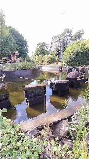 Rumba Rapids starting up at Thorpe park