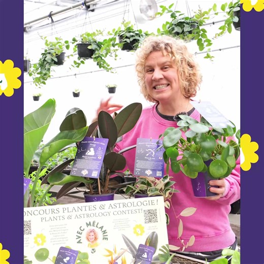 ✨ CONCOURS PLANTES & ASTROLOGIE ✨ Et oui… on vous avait dit que quelque chose s’en venait Le voilà enfin: un super combo avec Mélanie Grégoire et Alexandre Aubry! 🎉 20 gagnants leur accompagnateur 🍸Soirée cocktail et bouchées au Café Ricardo 🌿Plante astrologique carte du ciel personnalisée 👉🏻Visitez un IGA participant et scannez le code QR ou inscrivez-vous directement via le lien: https://www.ricardocuisine.com/concours/plantes-et-astrologie-gagnez-votre-carte-du-ciel-et-votre-plante-astro