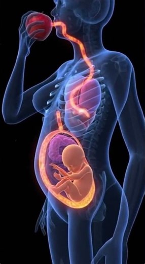 “Robotic Pregnancy: The Future of Life 🤖✨”