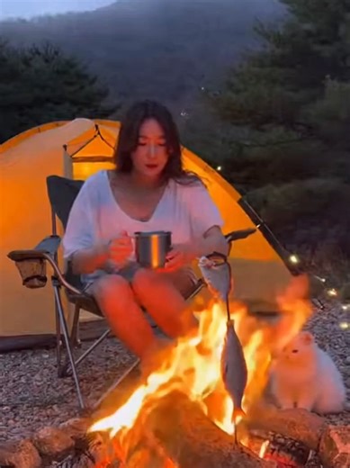 CAMPING WITH A CAT #anythingai #ai #aiart