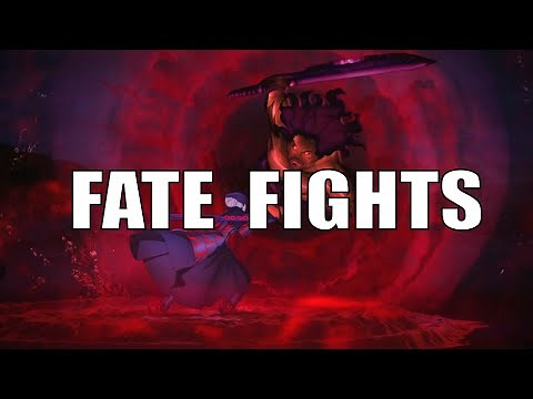 Top 10 Fate Series Fights