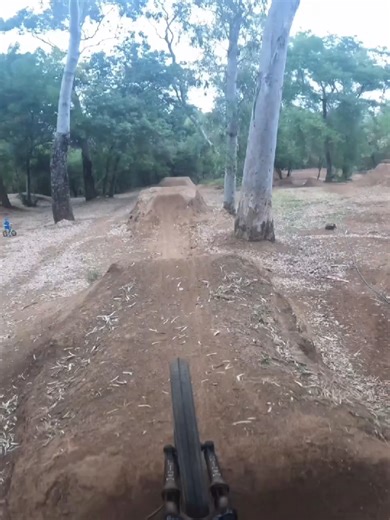 Increíbles Saltos en MTB: La Mejor Grabación