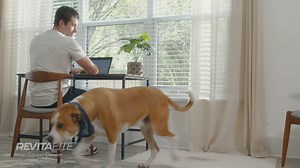 Don't stress over the mess - we've got you covered with the Kenmore RevitaLite™ Carpet Cleaner. Shop the link below. https://bit.ly/4aabIjN | Kenmore