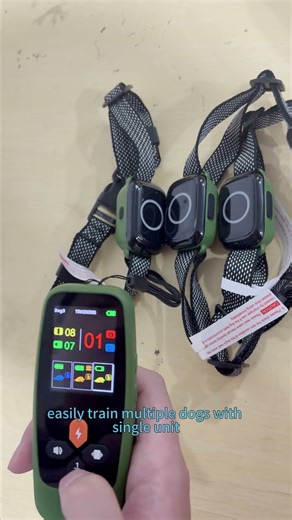 One transmitter, three collars, total control.