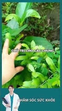 What are the benefits of balloon flower or sea goldfish? #healthylivingat30