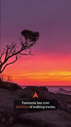 Tasmania's Secret: The Walking Tracks You Didn't Know About