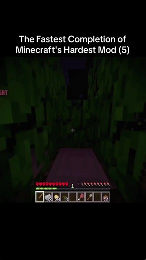 The Fastest Completion of Minecraft's Hardest Mod #minecraft #speedrun #hardcore #viral
