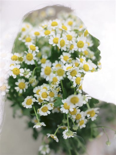 Kỹ Thuật Chụp Multi Exposure Với Hoa