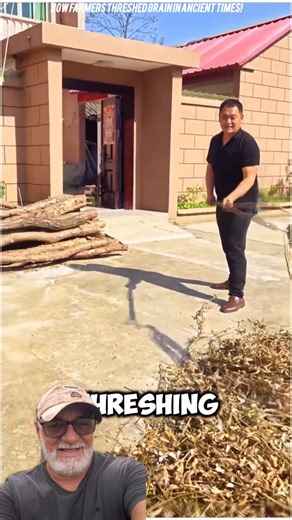 How Farmers Threshed Grain in Ancient Times!😳 #fbstylelife | Sam Recipes