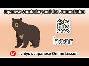 熊 (くま、クマ、kuma) | bear | Japanese Vocabulary and the Pronunciation