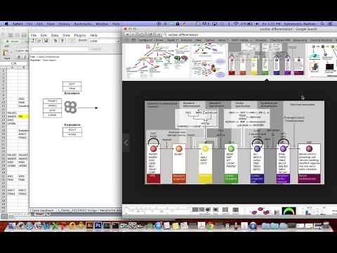 WikiPathway Creation Tutorial 1