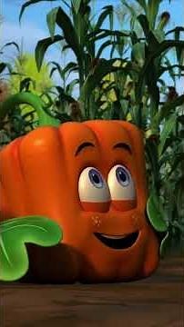 The A-Maze-ing Corn Maze 🌽🍂 | Spookley's Halloween Shorts | #spookleythesquarepumpkin #ytshorts
