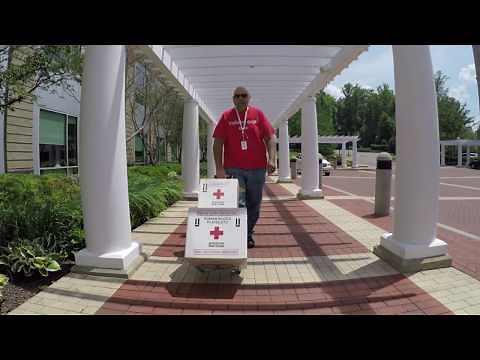 Volunteer to deliver lifesaving blood
