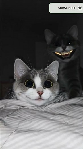 Smile Cat 💀 | The Most Terrifying Horror You’ll Ever See! #horrorshorts # #horror