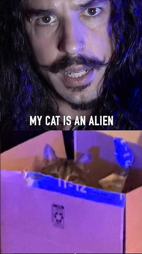 My cat is an alien (cat metal) #shorts #cat #metalhead