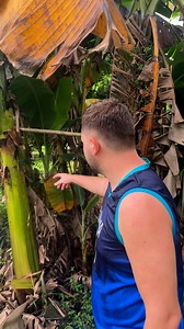 5.4K views · 95 reactions | Boss Fallen on Reels | Facebook