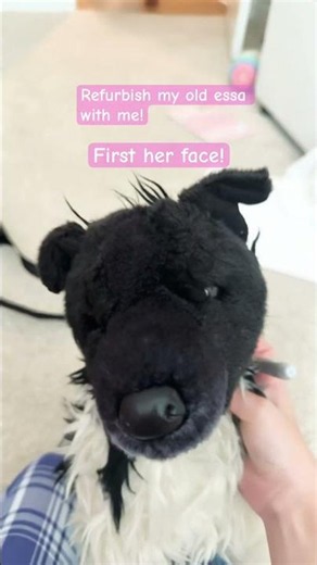 #fypage #essa #plush #plushie #plushies #essas #essacommunity #fyp #viral #viralshort #dog #custom