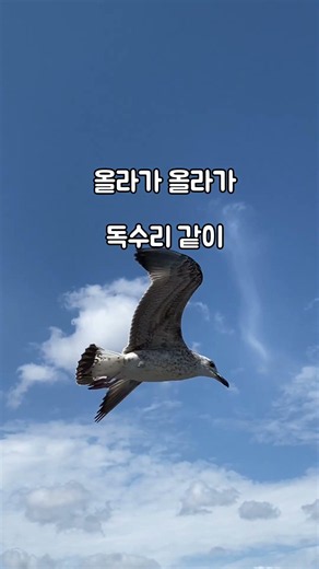 오늘 너무 지쳤다면, 이 노래 들어보세요? CCM 트로트 찬송가354장 주를 앙모하는 자