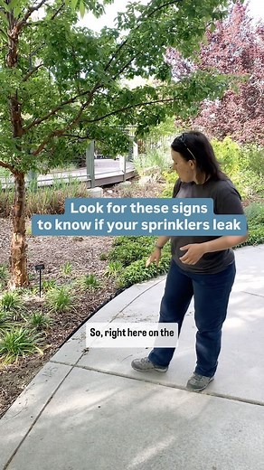 14 reactions | Check your irrigation system at night or look for these signs to know if you’ve got a leak. This can save a lot of water in the garden! #waterwisegardening #waterwiseplants #utahgardeners #gardentips #dripirrigation | Conservation Garden Park | Facebook