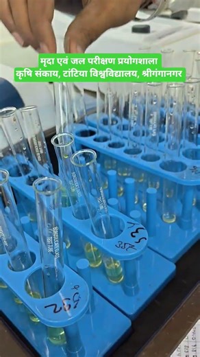 Soil testing for farmer field @TantiaUniversityIN @soilwatertestinglabTU