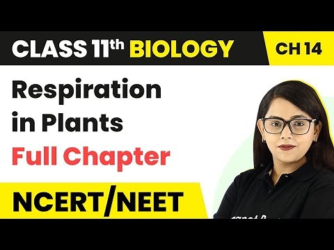 Respiration in Plants - Full Chapter Explanation | Class 11 Biology Chapter 14