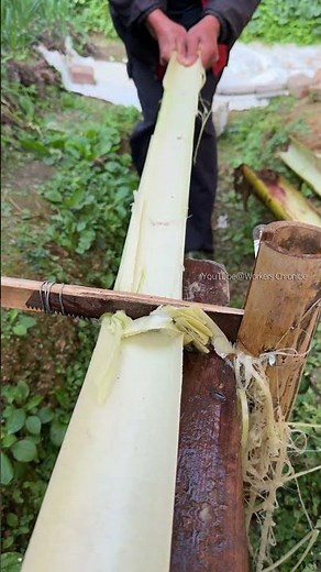 Traditional Handmade Tree Bark Scraping, Sawtooth Tool Display