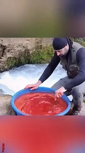 This man uses chili powder to catch fish#tiktok #animal #Love #cute #foryou | Loveanimals69