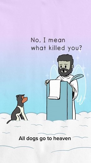 Do Dogs Go to Heaven? Exploring the Belief