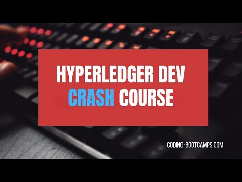 Crash Course for Mastering Smart Contract Development with Hyperledger Fabric V2