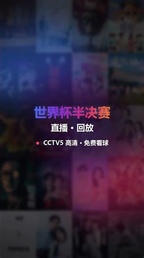 海外影视世界杯直播 小树影院