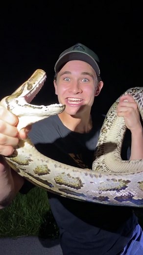 Would you guys grab a wild snake like this ?🐍 #ThisIsBliss #snake #reptiles #animals #fyp #crazy