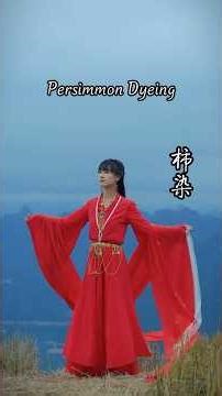 Green Persimmon Dyeing | The Beautiful Traditional Silk Dyeing Process #PersimmonDyeing