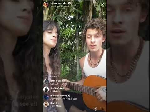 Shawn Mendes and Camila Cabello singing "Señorita" live on instagram