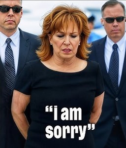 FACT CHECK: Was 'The View' Cohost Joy Behar Arrested by TSA at Airport While Fleeing the United States?