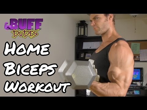Home Workout Routine - Arms / Biceps Dumbbell Exercises