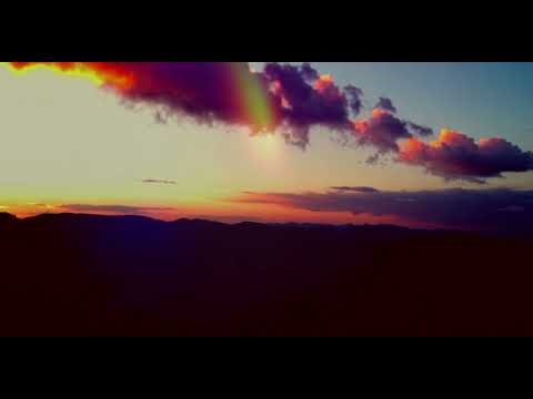 Avocadọ Cōmbat | The Initial Materialization