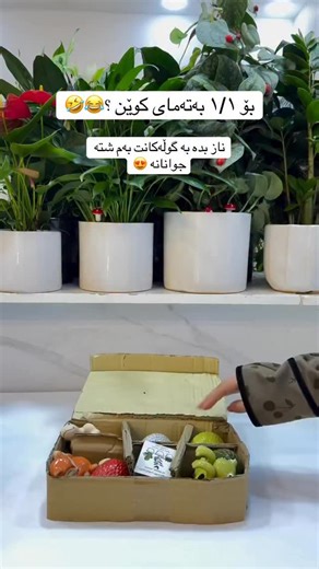 Hero Garden on Instagram‎: "#هێرۆگاردن"‎