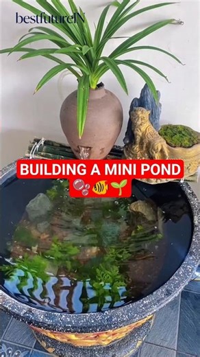 Small Pot → Beautiful Mini Pond 🔴 #lifehacks #aquascape #usashorts #aquarium #fishtank