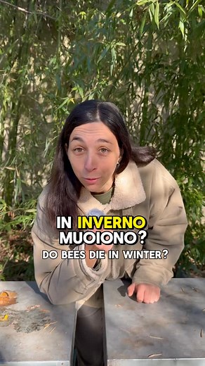 2K views · 816 reactions | Ma le api in inverno muoiono? Direi proprio di no, creano un glomere per tenersi al caldo, stile pinguino . Tu lo sapevi? #apicoltura #api #apicolturazuzzi #miele #apicolturaitaliana #apicoltrice #apicolturanaturale #bee #beekeeping #apiario | Apicoltura Zuzzi | Facebook